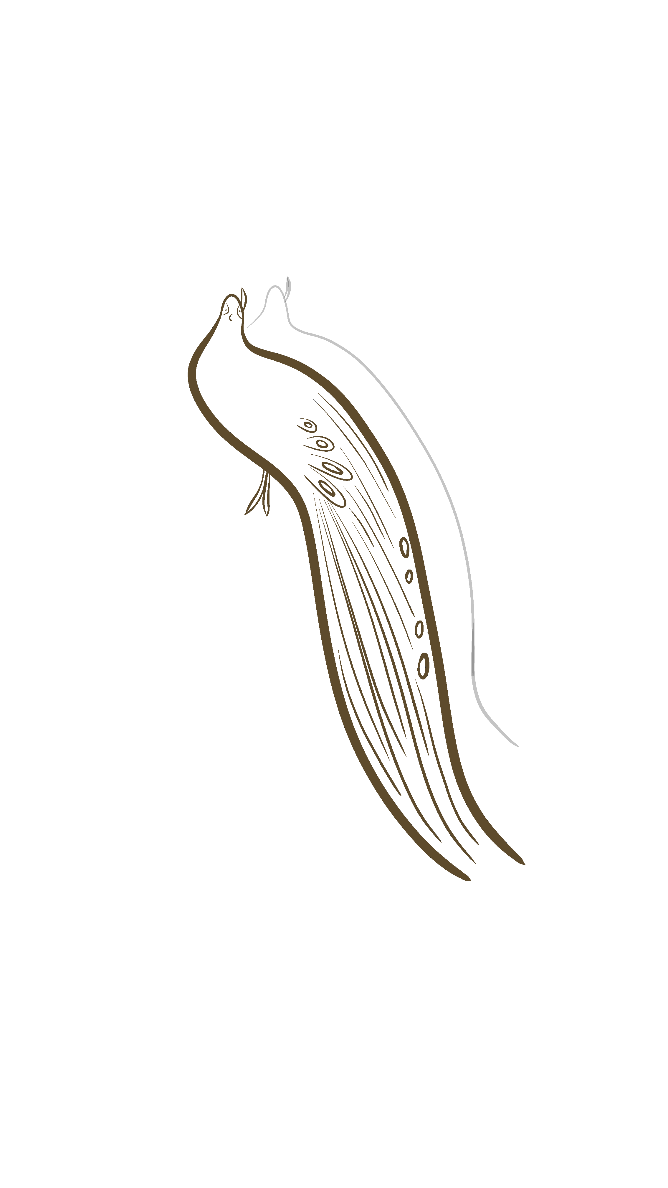 logo-pfau
